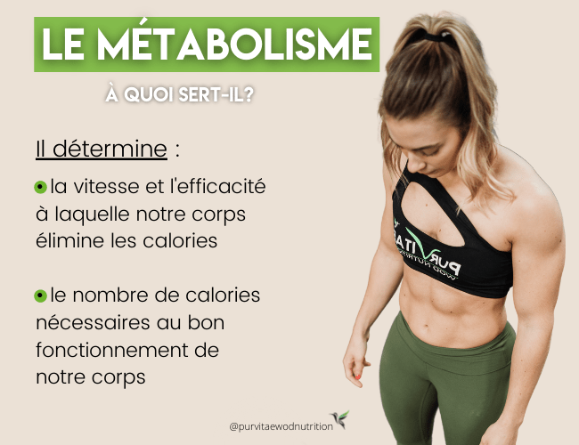 metabolisme definition